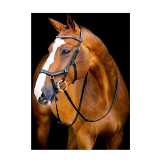 Horseware Micklem Diamante Competition Bridle VB/ COB (Vollblut)