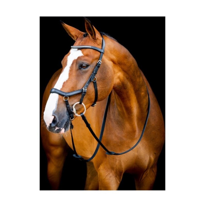 Horseware Micklem Diamante Competition Bridle VB/ COB (Vollblut)