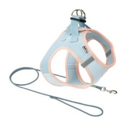 AniOne Pepe&Kitty Welpenset blau XXS