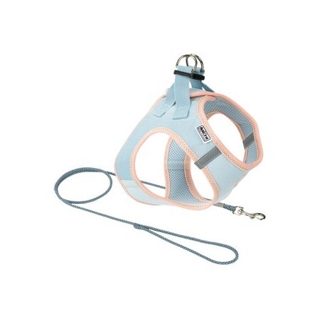 AniOne Pepe&Kitty Welpenset blau XXS