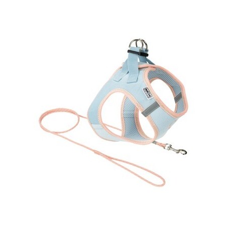 AniOne Pepe&Kitty Welpenset blau & apricot M