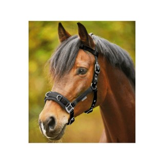 Waldhausen GmbH Waldhausen Kappzaum Economic Pony