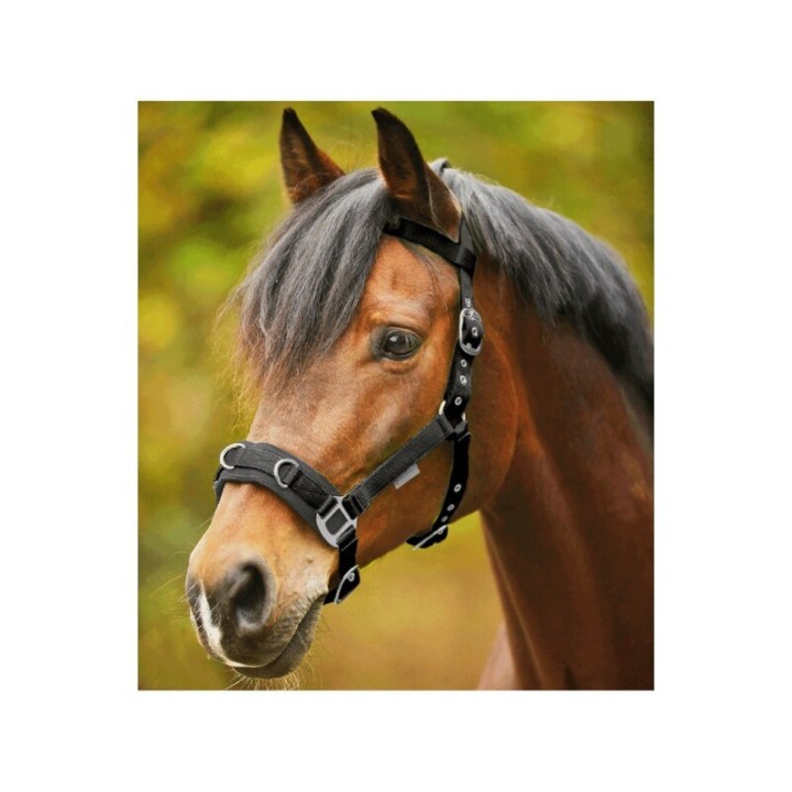 Waldhausen GmbH Waldhausen Kappzaum Economic Pony