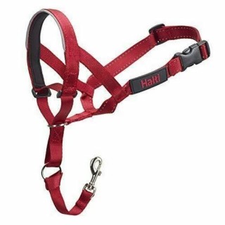 Halti Hundekopfhalsband 3 rot