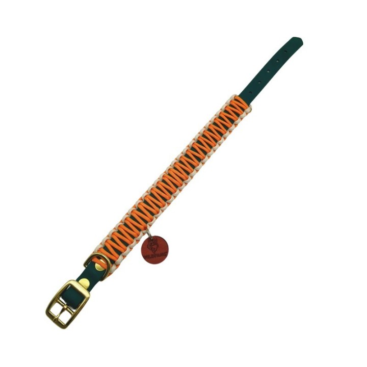 Wildfang Hundehalsband "Waldgeflüster" aus Biothane mit Paracord creme/ türkis XS-S