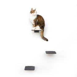 LucyBalu STEPS Katzentreppe anthrazit L