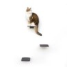 LucyBalu STEPS Katzentreppe anthrazit L