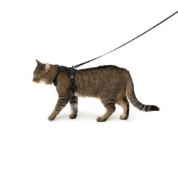 LucyBalu EXPLORER Katzengeschirr schwarz S