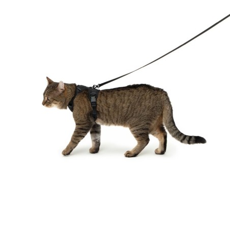 LucyBalu EXPLORER Katzengeschirr schwarz S