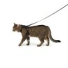 LucyBalu EXPLORER Katzengeschirr schwarz S