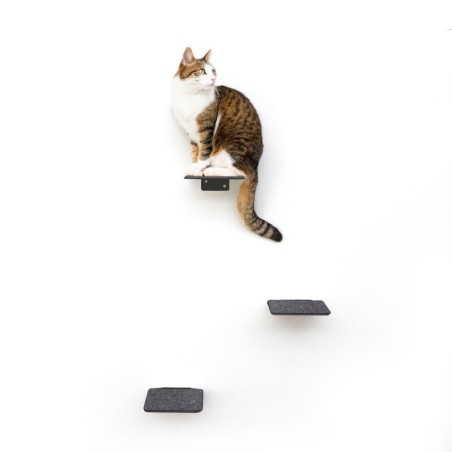 LucyBalu STEPS Katzentreppe anthrazit L