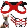 Hunde- und Katzengeschirr aus weichem Leder für Welpen, Chihuahua, Yorkie, verstellbare Hundeleine S schwarz