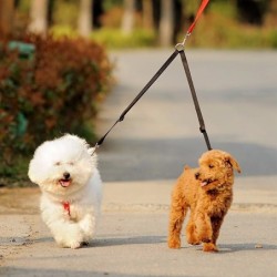 Doppelkopf-Leine, Zwei-Wege-Hundeleine, Welpen-Nylon-Katze, Haustier-Walking-Versorgung schwarz