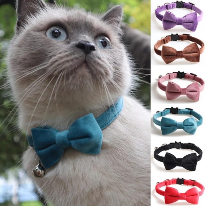 Samt-Katzenhalsband mit Schleife, verstellbare Sicherheitsschnalle, Gatos-Fliege, Katzenzubehör, Halsband für Katzen mit Glöc