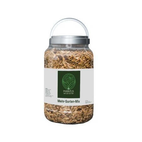Insektus Mehr Sorten Mix 1 kg