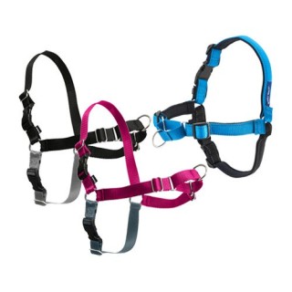 Easywalk Hundegeschirr Deluxe - Blau - M