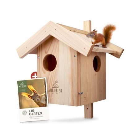 wildtier liebe Eichhörnchen Kobel