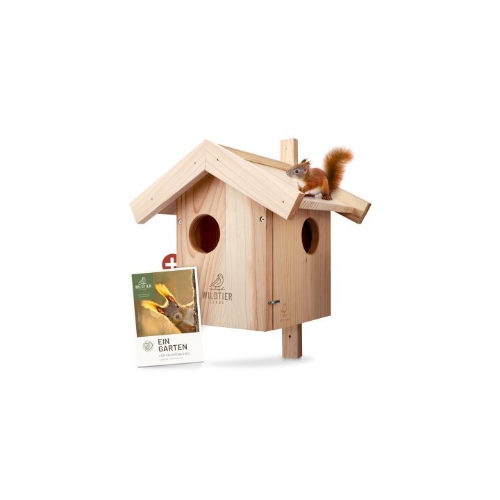 wildtier liebe Eichhörnchen Kobel