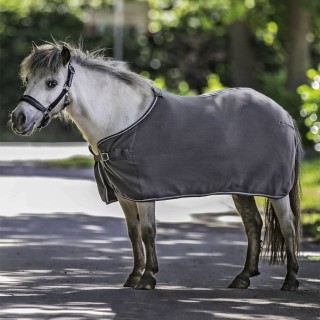 Waldhausen Fleecedecke Economic - grey