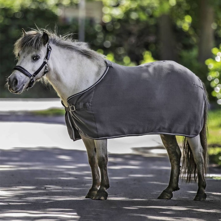 Waldhausen Fleecedecke Economic - grey