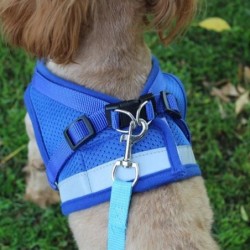 Reflektierendes Sicherheitsset für Hundegeschirr und Leine für kleine und mittelgroße Hunde, Katzengeschirre, Weste, Welpen-B