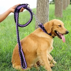 Haustierleinen, große Hundeleinen, langlebiges gestricktes Hundehalsband für Spaziergänge, Laufen, Berge, Heimtierbedarf S bl