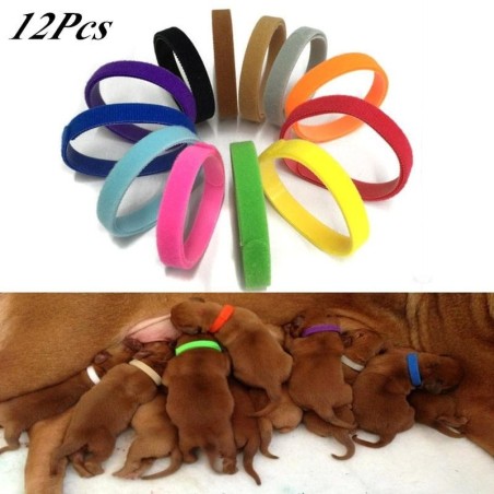 12 Stück Hundehalsbänder für Welpen, Neugeborene, Haustiere, verstellbar, Nylon, für kleine Hunde 10*400MM