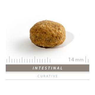 SANIMED Intestinal Hundefutter - 1,5 kg