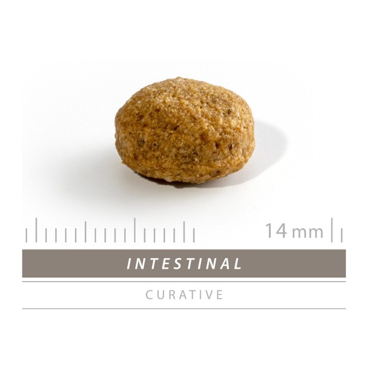 SANIMED Intestinal Hundefutter - 1,5 kg