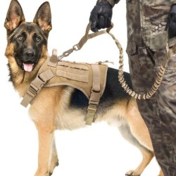 Hundegeschirr, große Hundeweste, Haustiergeschirr und Leine-Set für Hunde M schwarz