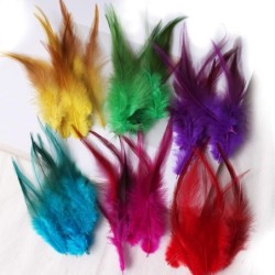 Lustige Katze Stick Feder DIY Katze Spielzeug bunte rote Spitze Fasan Feder Handwerk Schmuck Dekoration Material 50pcs