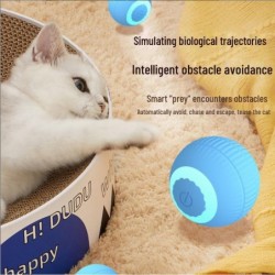 Automatisches Katzenspielzeug Gravity Ball - Rollball zur Selbstunterhaltung Vertical Stripes blau
