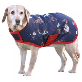 Thelwell Benji & Flo Practice Makes Perfect Hundemantel XS dunkelblau/rot