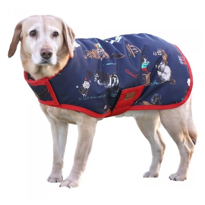 Thelwell Benji & Flo Practice Makes Perfect Hundemantel XS dunkelblau/rot