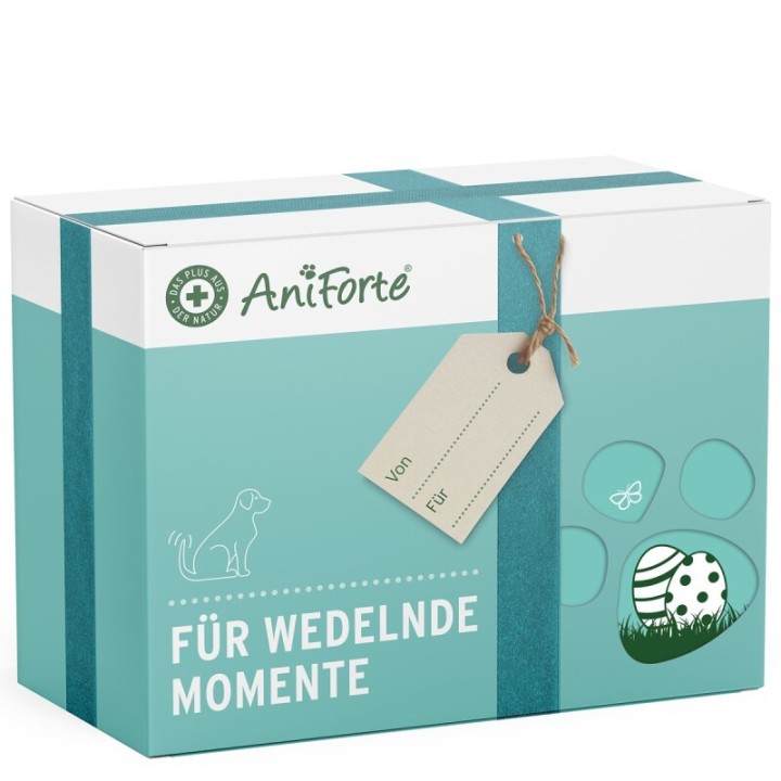 AniForte Geschenkbox Pflege für Hunde