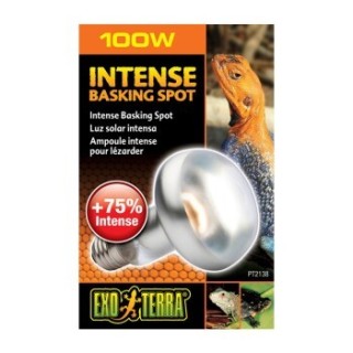 Exo Terra Intense Basking Spot 100 W