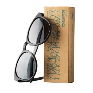 DogCoach Sonnenbrille