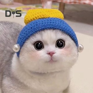 Gestrickte Haustiermütze, handgefertigt, gehäkelt, Frosch, Gott des Reichtums, Kostümzubehör, warme Wintermütze für kleine Ka