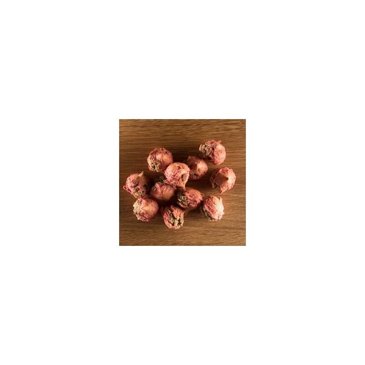 alsa-nature Wildfleisch-Johannisbeer-Praline, 250 g, Länge: ca. 3 cm