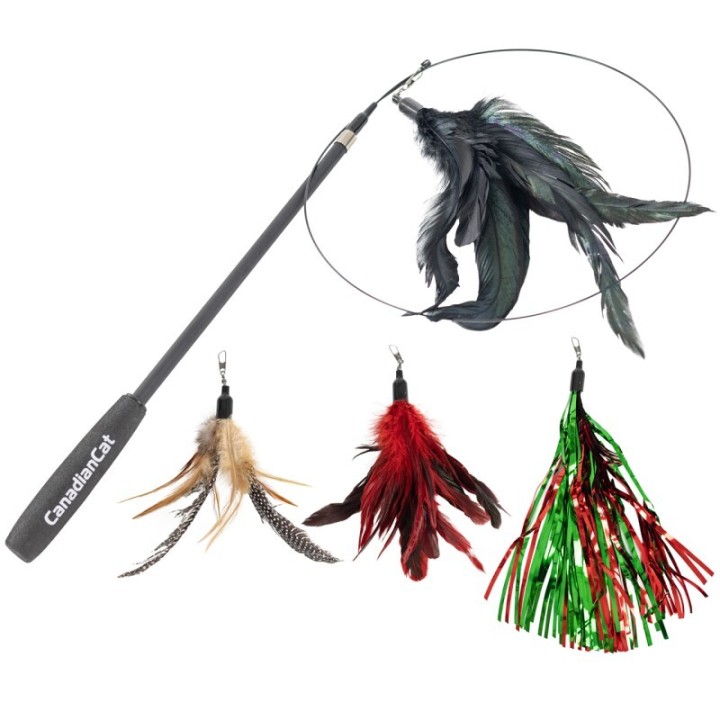 Canadian Cat Company Katzenangel Set