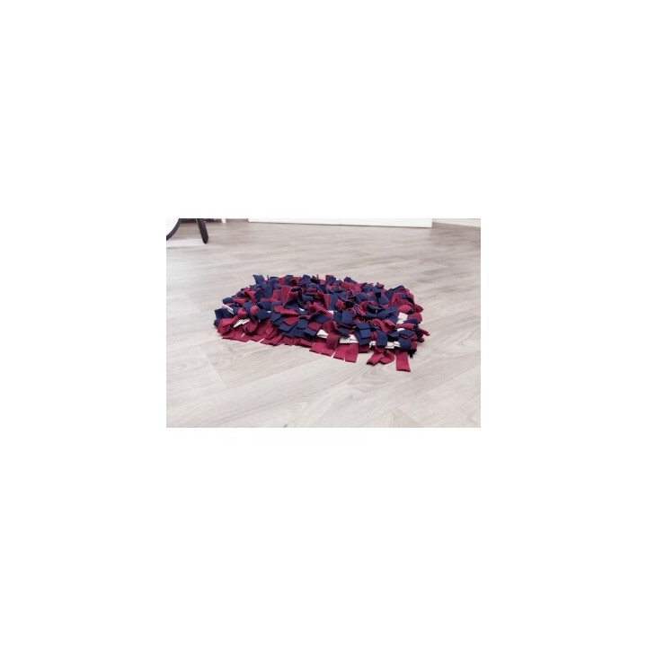 Trixie Dog Activity Strategie-Spiel Schnüffelteppich, 50×34 cm
