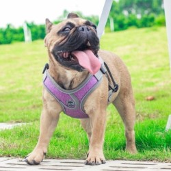 Atmungsaktives Hundegeschirr mit Leine, reflektierendes Oxford-Westengeschirr für Hunde, verstellbare Größe, kleine und mitte