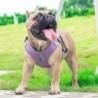 Atmungsaktives Hundegeschirr mit Leine, reflektierendes Oxford-Westengeschirr für Hunde, verstellbare Größe, kleine und mitte