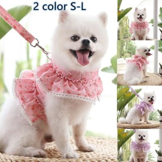 Leine für kleine Hunde, Hundeweste, Geschirr und Leine, Set, atmungsaktives Nylon, kleines Hundegeschirr und Leinen für Chihu