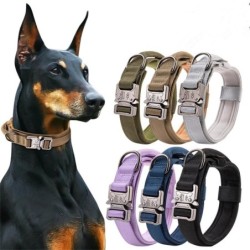 Hundehalsband, verstellbar, langlebig, Nylon, für Teddy Keji, Pitbull, Bulldogge, Haustier, Hundebedarf grün