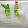 1 stücke Vogel Sepiaschale Halter Vogelkäfig Fütterung Halter Gemüse Obst Sepiaschale Halter für Papagei Wellensittiche Sitti