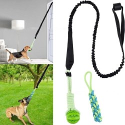 Interaktives Hundespielzeug Tauziehen mit Federseil für Hunde, zum Aufhängen im Innen- und Außenbereich, Zugseilball, Kauspie
