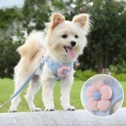 Hundegeschirr mit 1,2 m Leine, Set mit Halsband und Leine für Spaziergänge im Freien, für Welpen, Katzen, Französische Bulldo
