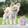 Hundegeschirr mit 1,2 m Leine, Set mit Halsband und Leine für Spaziergänge im Freien, für Welpen, Katzen, Französische Bulldo