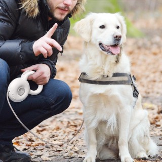 Hundeleinen Einziehbare Haustierleine Reflektierendes Seil Automatisch ausziehbares Hundegeschirr für das Spazierengehen mit